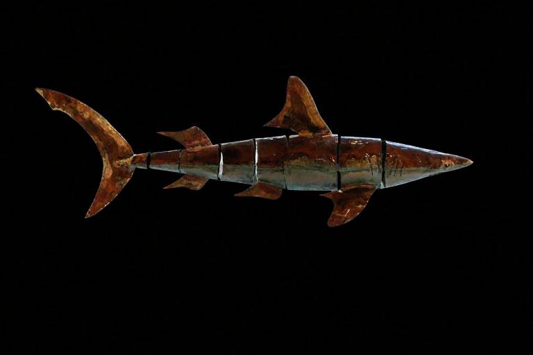 Shark - Michael Chaikin