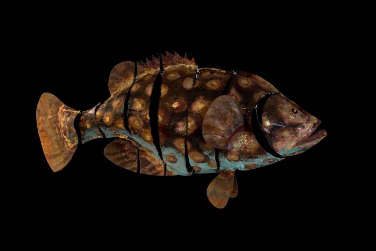 Grouper - Michael Chaikin