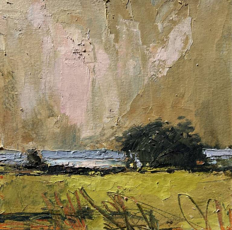 Jill Eisele - Evening Light