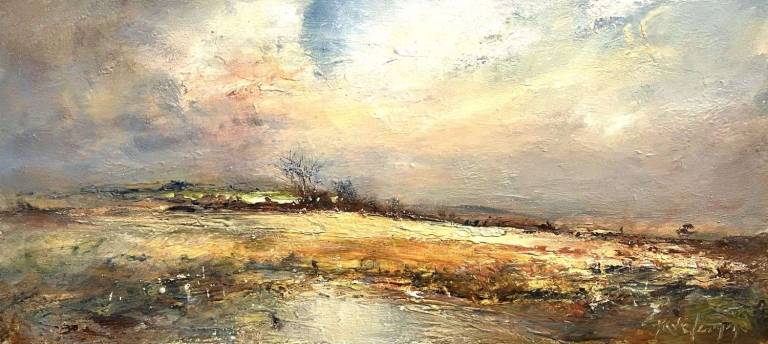 Solitary Moorland Tree - Steve  Slimm