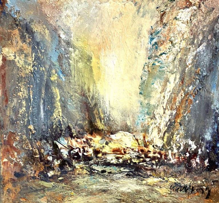 Steve  Slimm - Low Tide Gully With Rockpool