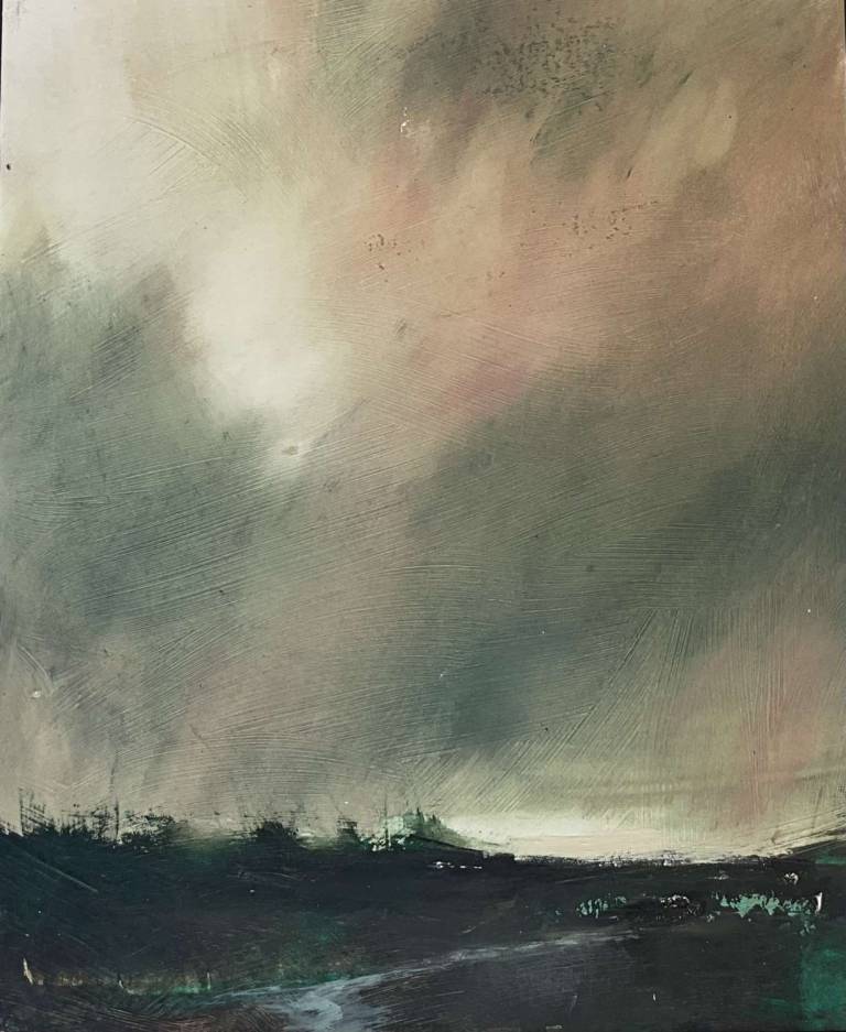 The Wide Sky - Jill Eisele