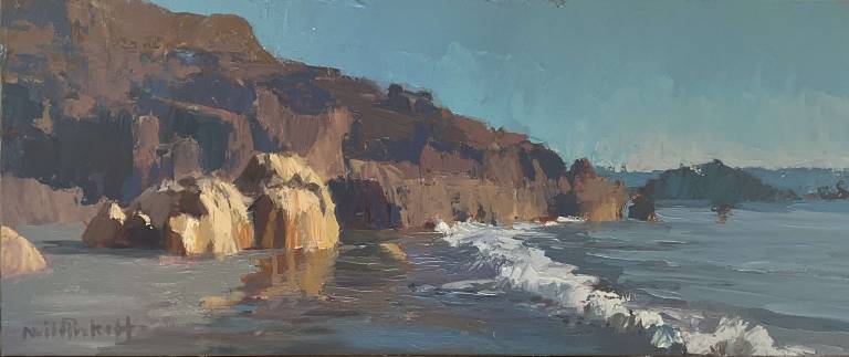 Neil Pinkett - Cot Beach