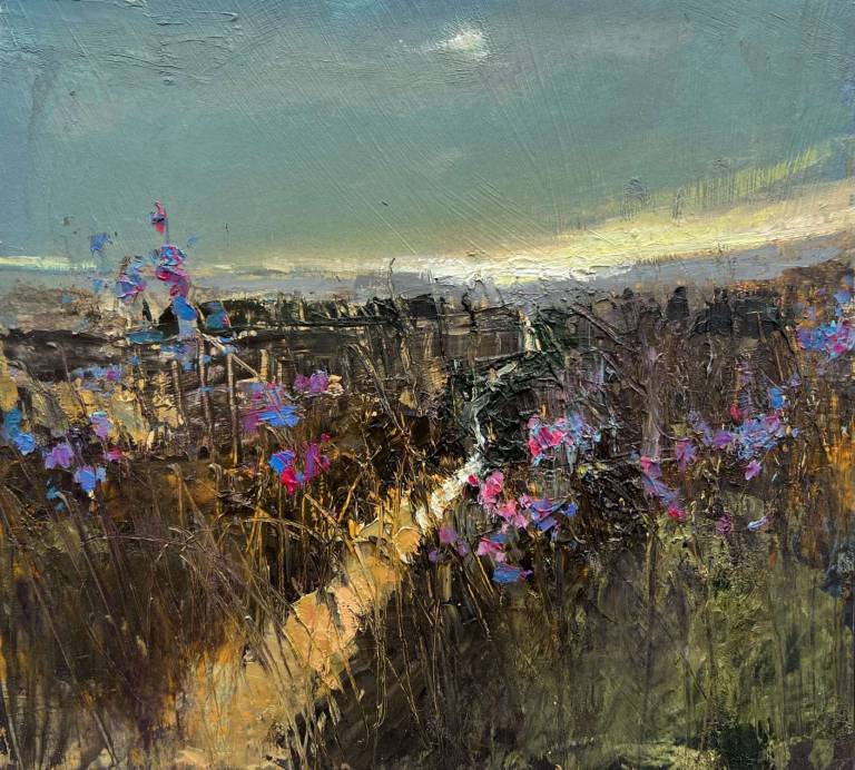 Where the Soft Winds Blow - Jill Eisele