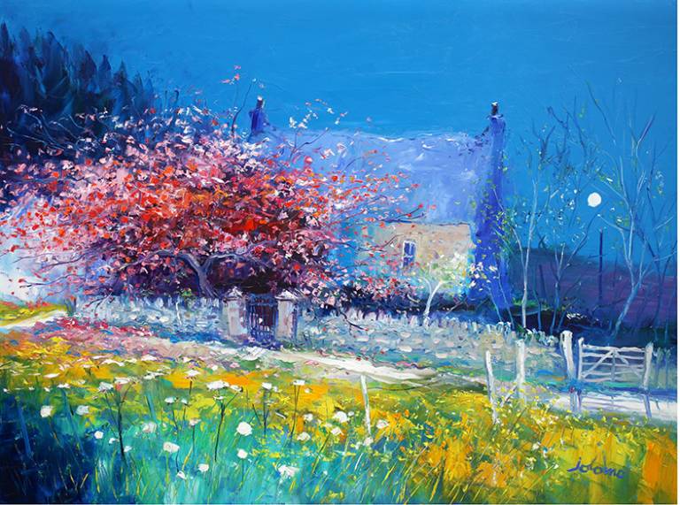 Spring Blossoms Barnluasgan, Knapdale - John Lowrie Morrison OBE