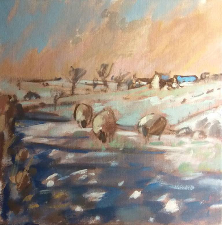Grazing Sheep, Sundown - Leila Neal