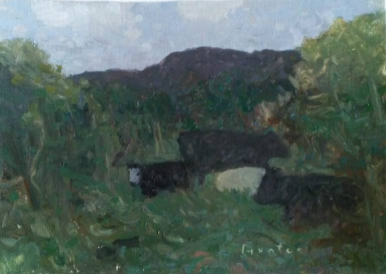 Cattle , Evening - Caroline  Hunter