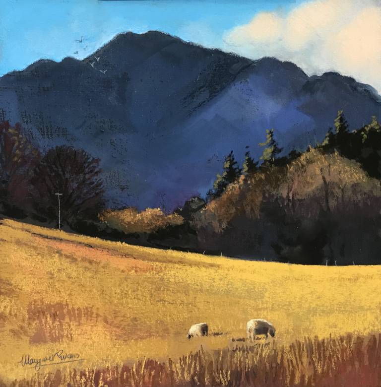 Grazing by Glen Artney - Margaret Evans