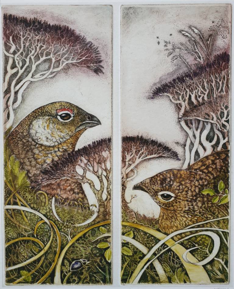 Grouse - Louise Scott