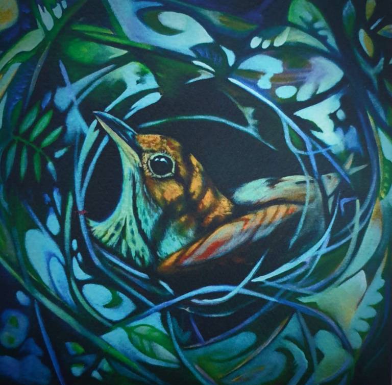 Song Thrush in Nest - Louise Scott
