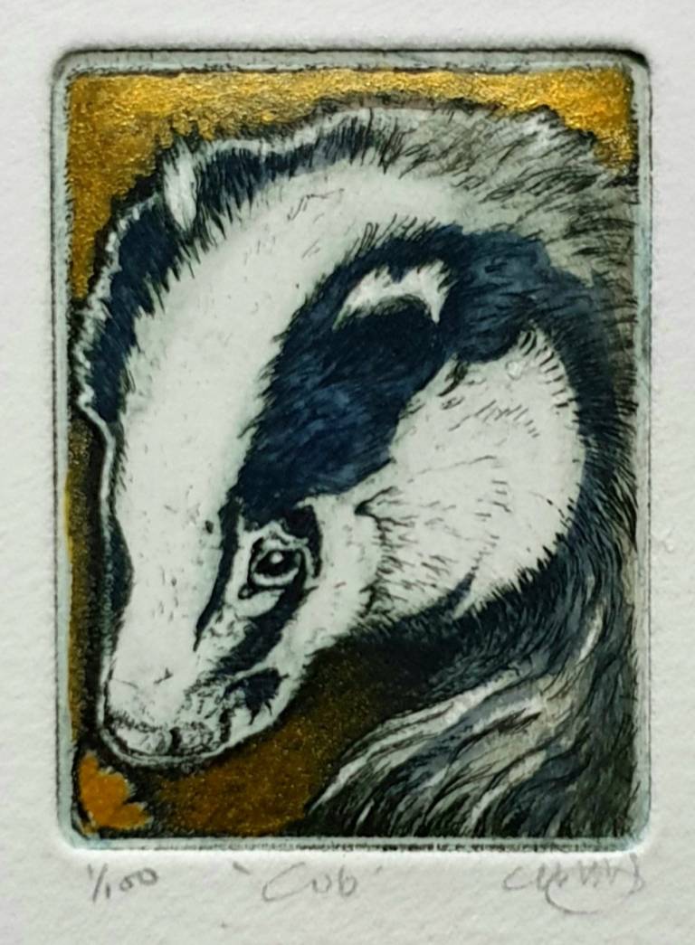 Badger Cub - Louise Scott