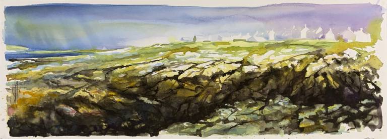 Port Wemyss Rocky Shore - Dietmar Finger