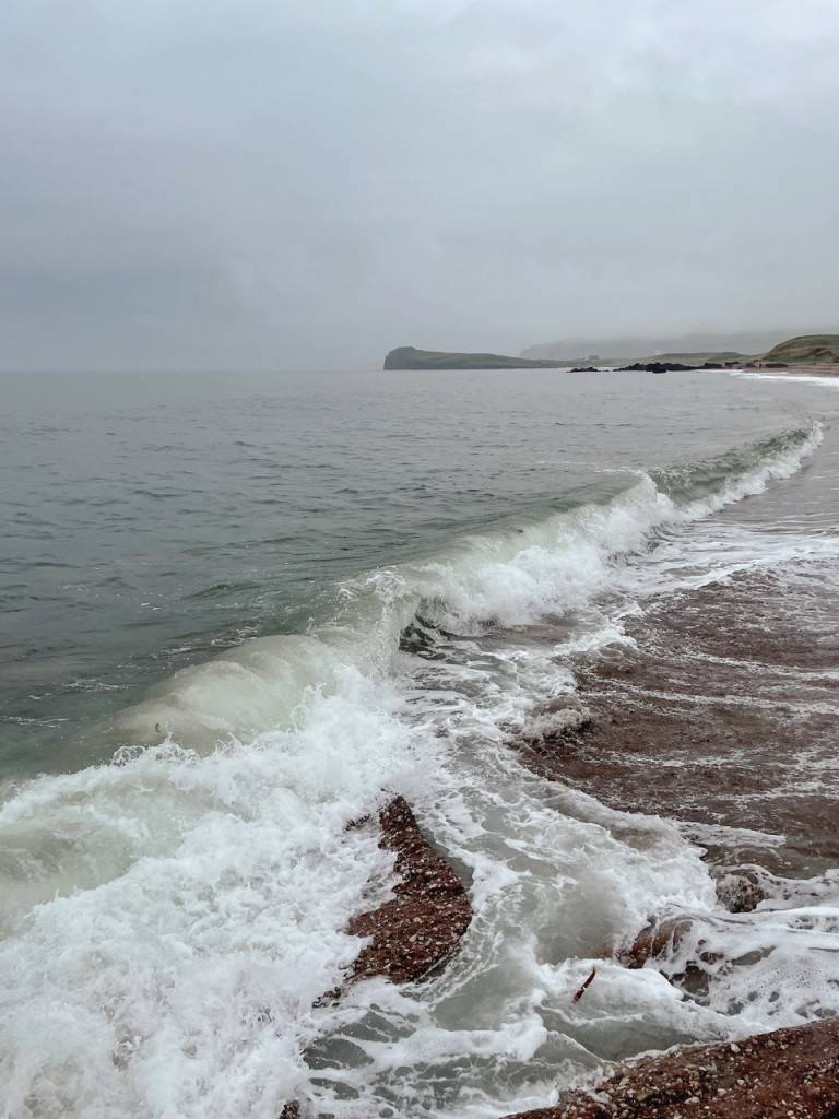 Shoreline II - Sarah Morton