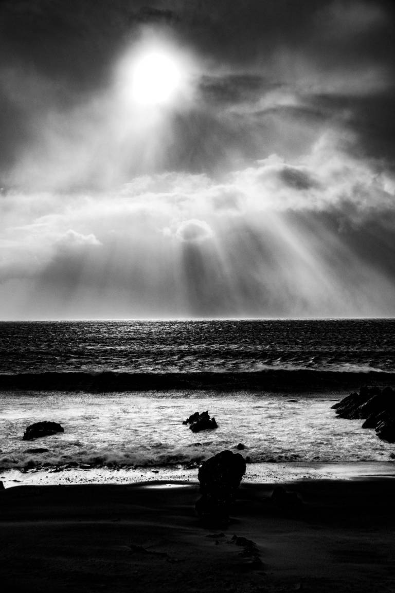 Rays - Sarah Morton
