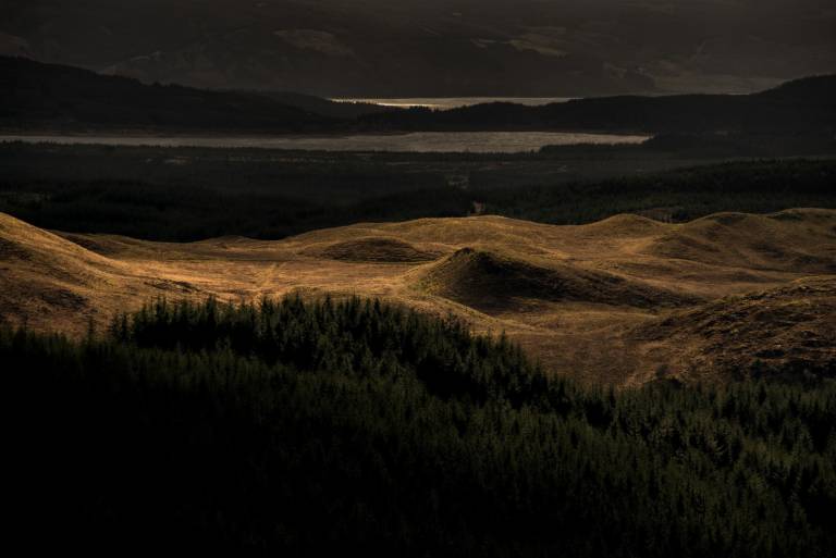 Argyll Blankets - Bill  Baillie