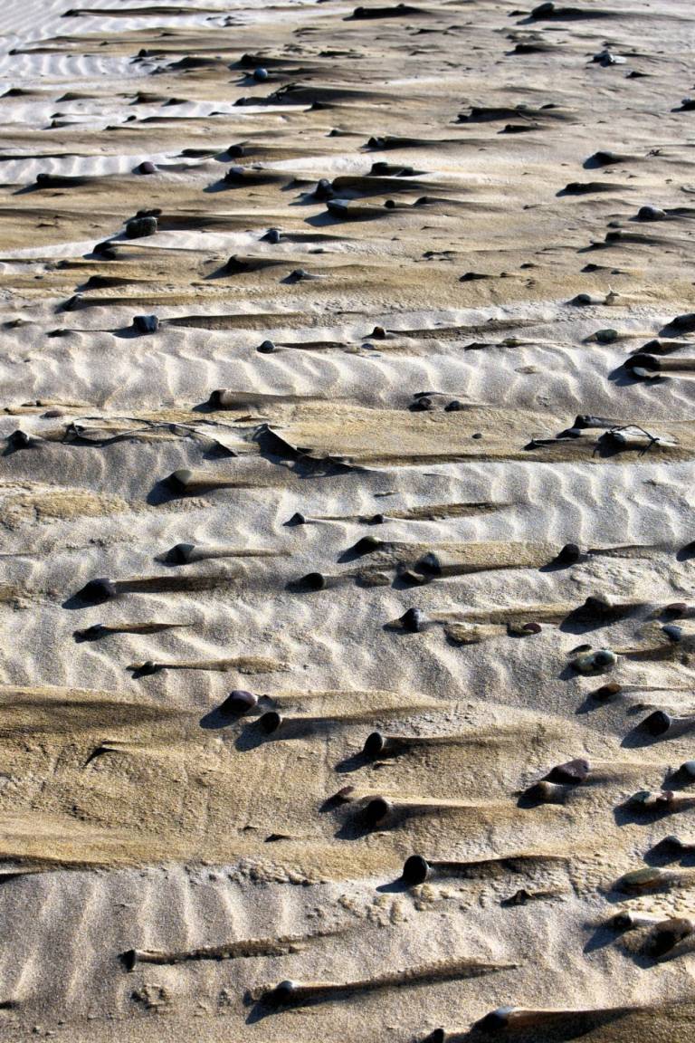 Sand Storm - Bill  Baillie