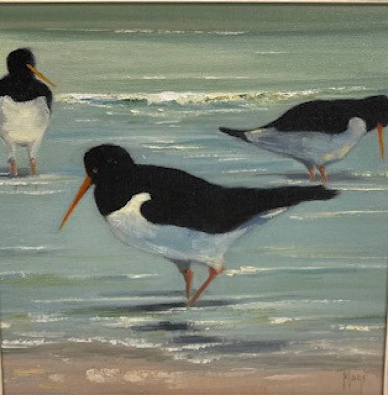 Oystercatchers - Mogs Mellor