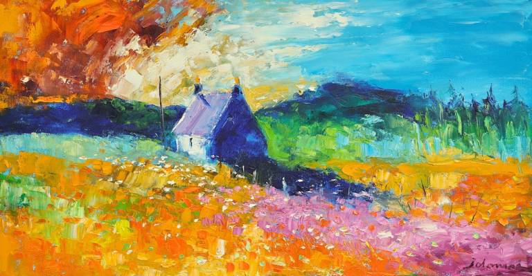 Wild flowers Isle of Gigha - John Lowrie Morrison OBE