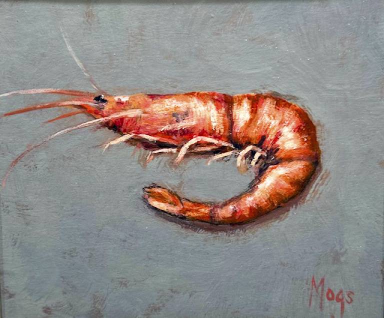 Shrimp - Mogs Mellor