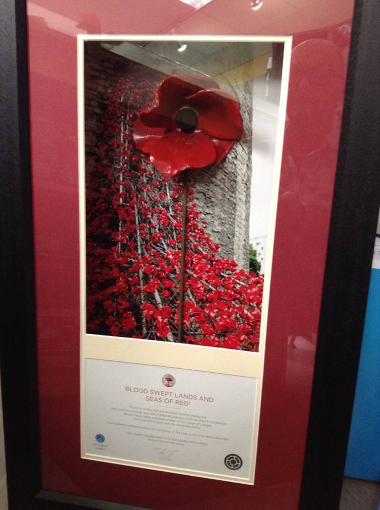 Tower of London Poppy with photo background  - Bespoke Framing