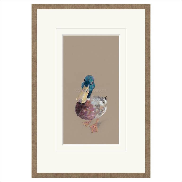 Lord Love A Duck - SOLD - Nicky Litchfield