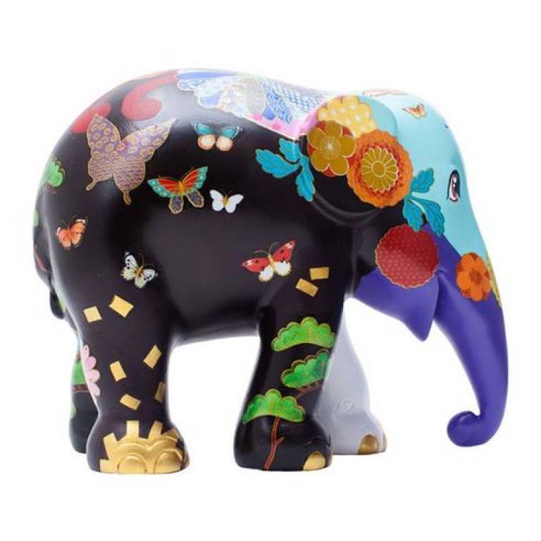 Elephant  Parade - Kiku