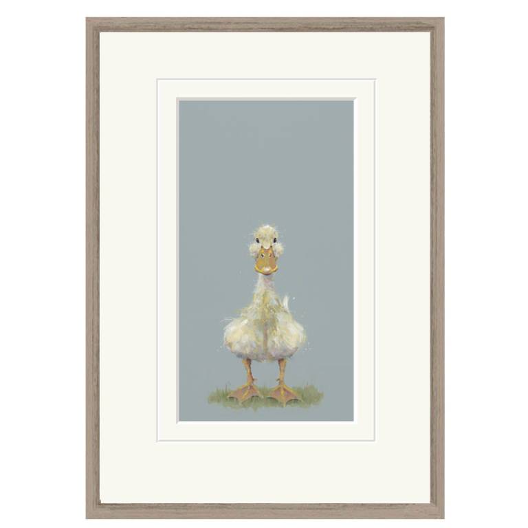 Nicky Litchfield - Quackers - SOLD