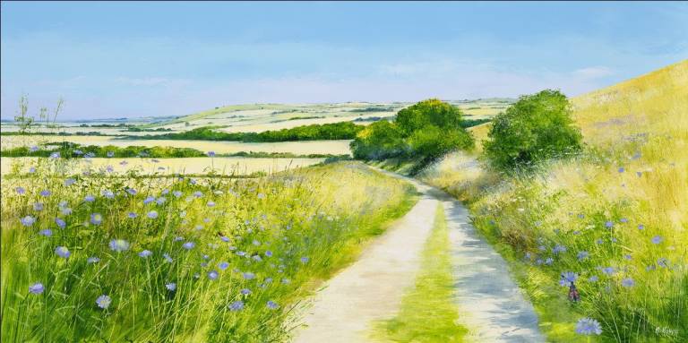 Summer on the Downs - Heather Howe