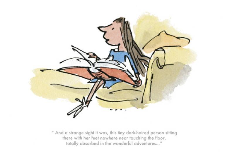 Totally Absorbed... - Roal Dahl & Quentin Blake