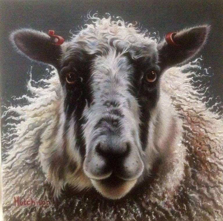 Farm Animals - 
