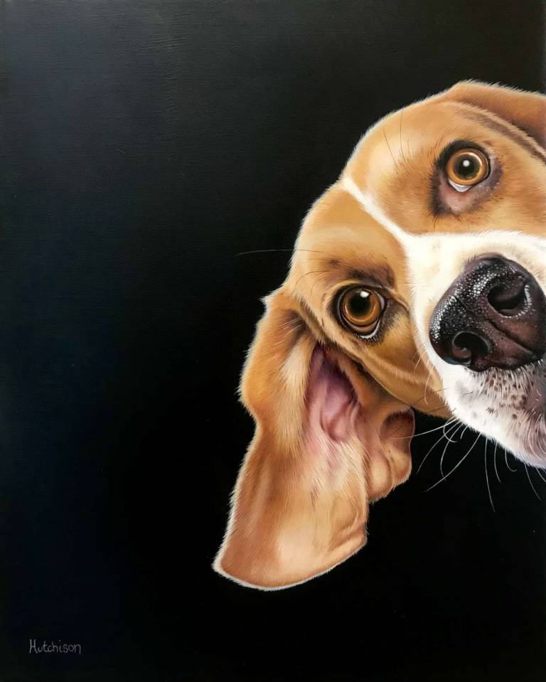 Dogs - 