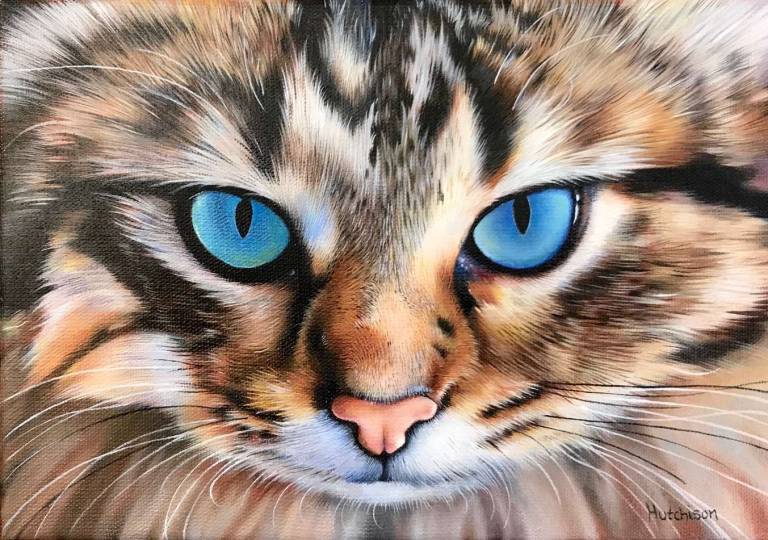 Other Creatures - 