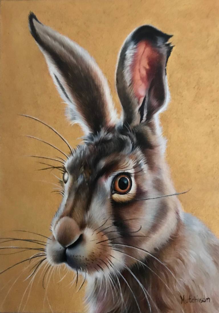 'Golden Hare' - Susan Hutchison