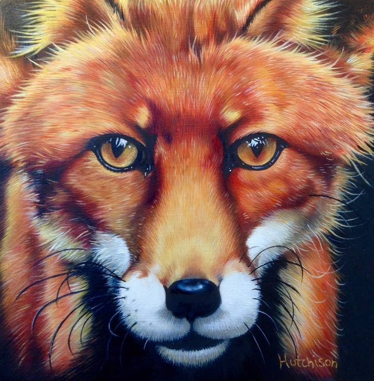 'Mr Fox' - Susan Hutchison