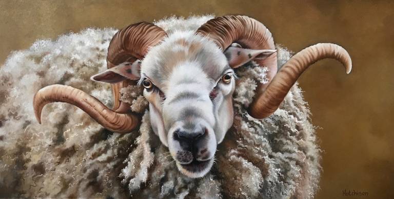 'Golden Fleece' - Susan Hutchison