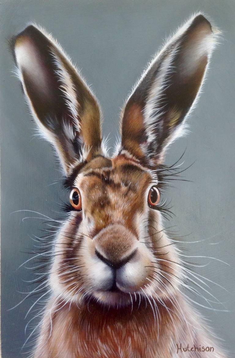 ‘Hare Today’ Giclee Print - Susan Hutchison