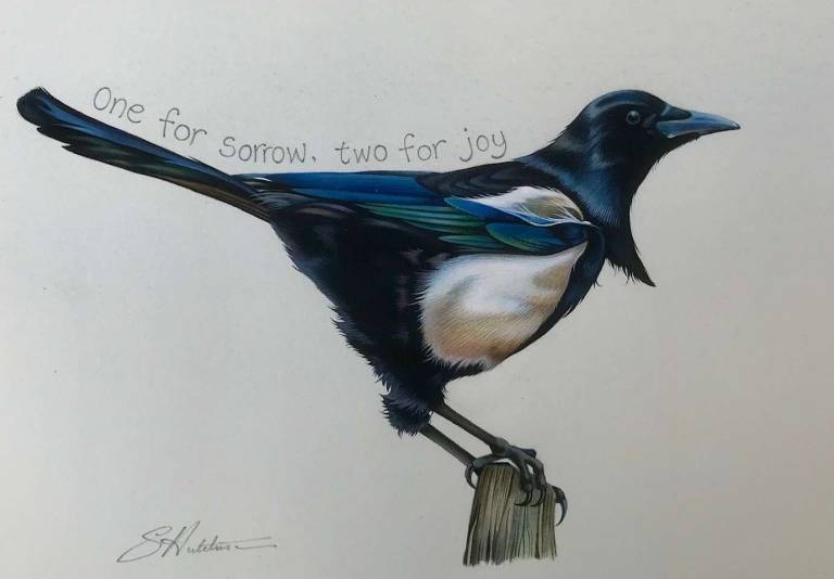'One for Sorrow, Two for Joy' - Susan Hutchison
