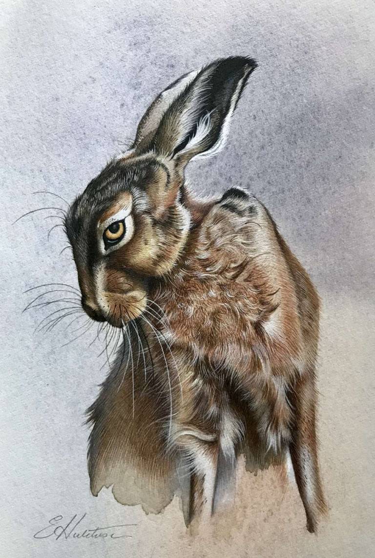 'Study of a Hare 2' - Susan Hutchison
