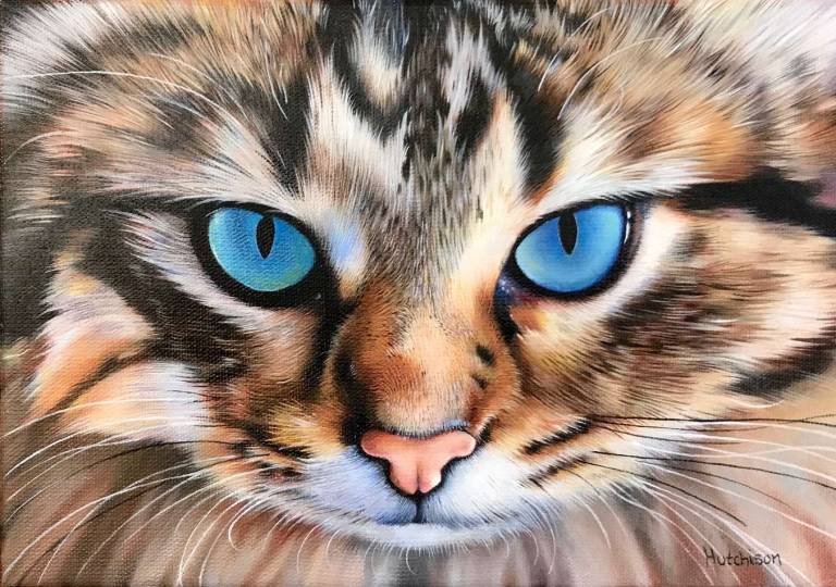 'Feline Blues' - Susan Hutchison