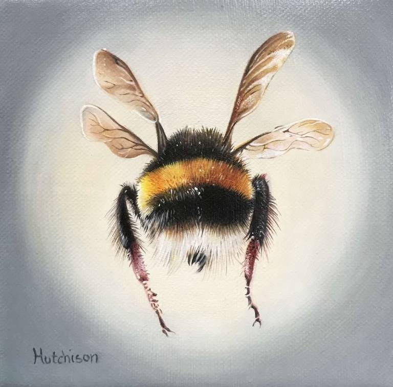 Bee-Hind - Susan Hutchison