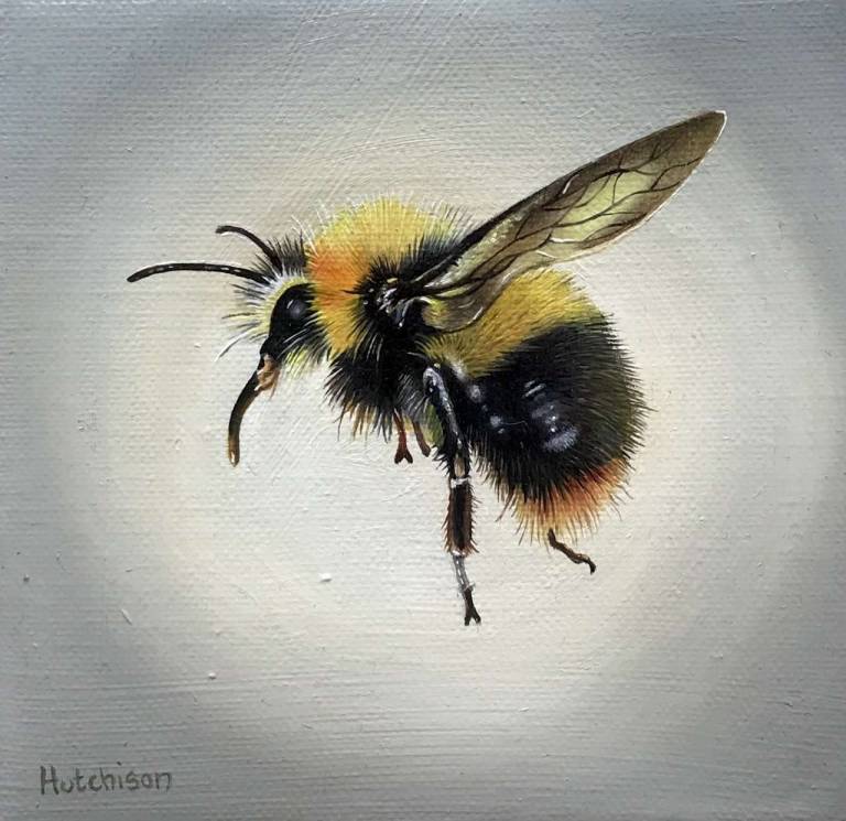 Bee-Side - Susan Hutchison