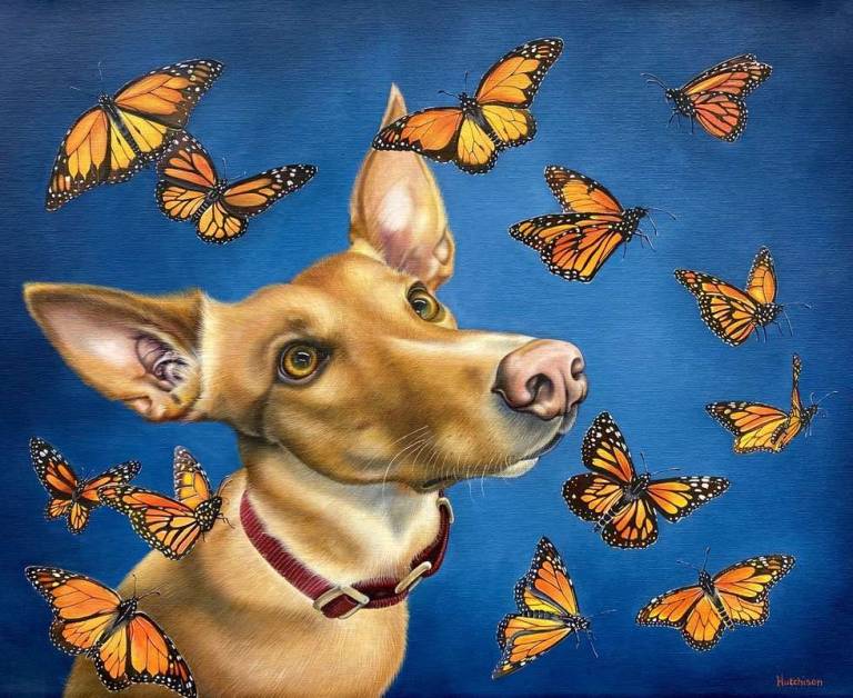 'Breagh and the Butterflies' - Susan Hutchison