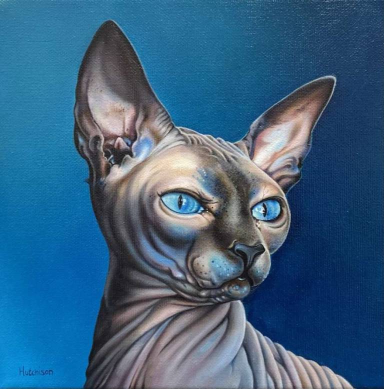 'Sphynx - Cobalt Blue' - Susan Hutchison