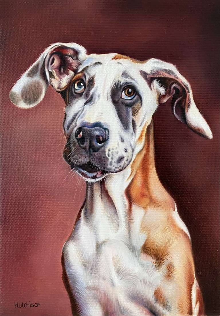Dopey - Susan Hutchison