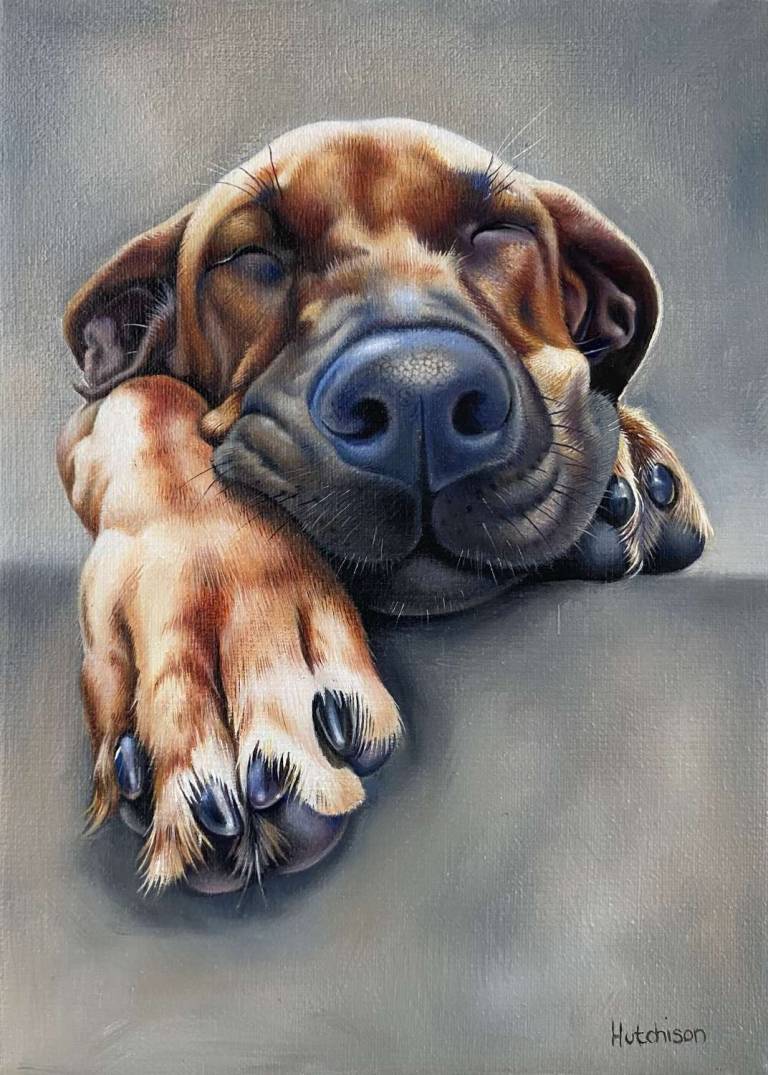 Sleepy - Susan Hutchison