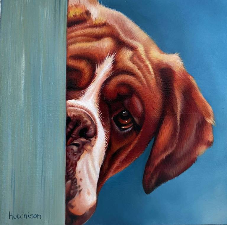 Bashful - Susan Hutchison
