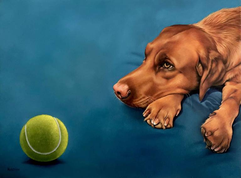 Huck - Susan Hutchison