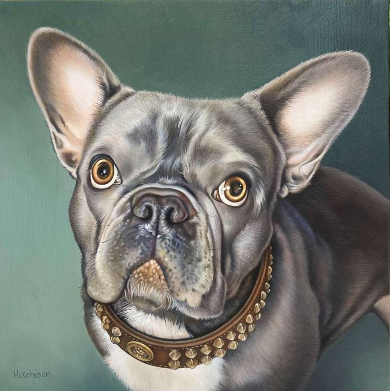 French Bulldog - Susan Hutchison