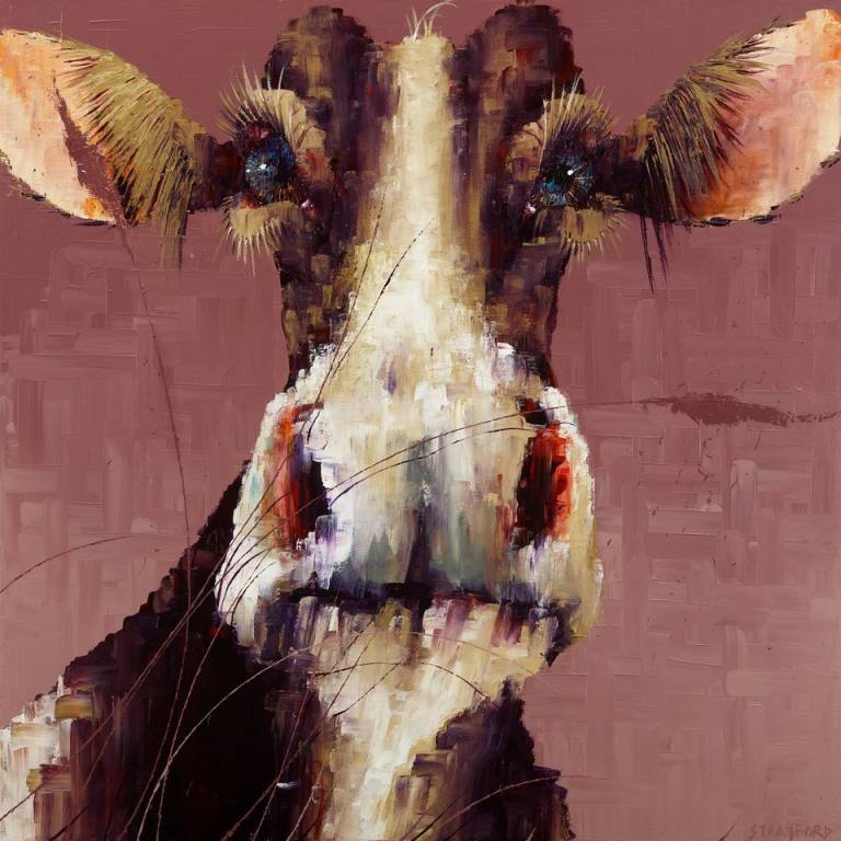 Muzzle The Cow (SOLD) - Amanda Stratford