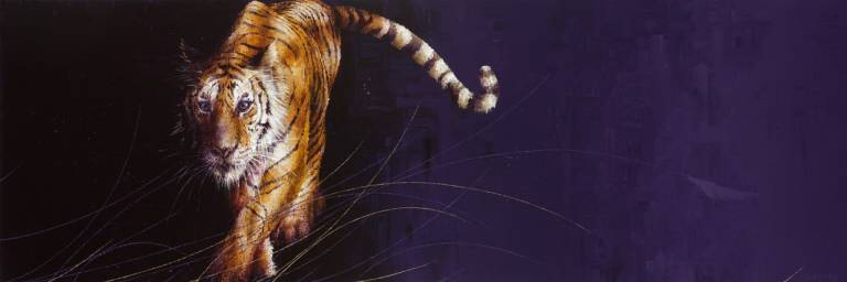 Night Passage (SOLD) - Amanda Stratford